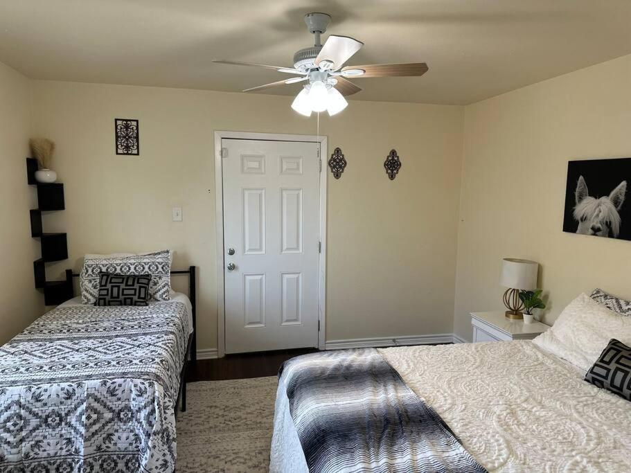 Appartement Walk To The Alamodome! Sleeps 6, Pet Friendly à San Antonio Extérieur photo