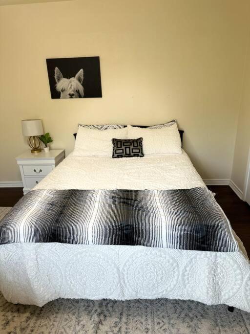 Appartement Walk To The Alamodome! Sleeps 6, Pet Friendly à San Antonio Extérieur photo