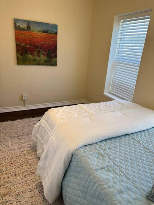 Appartement Walk To The Alamodome! Sleeps 6, Pet Friendly à San Antonio Extérieur photo
